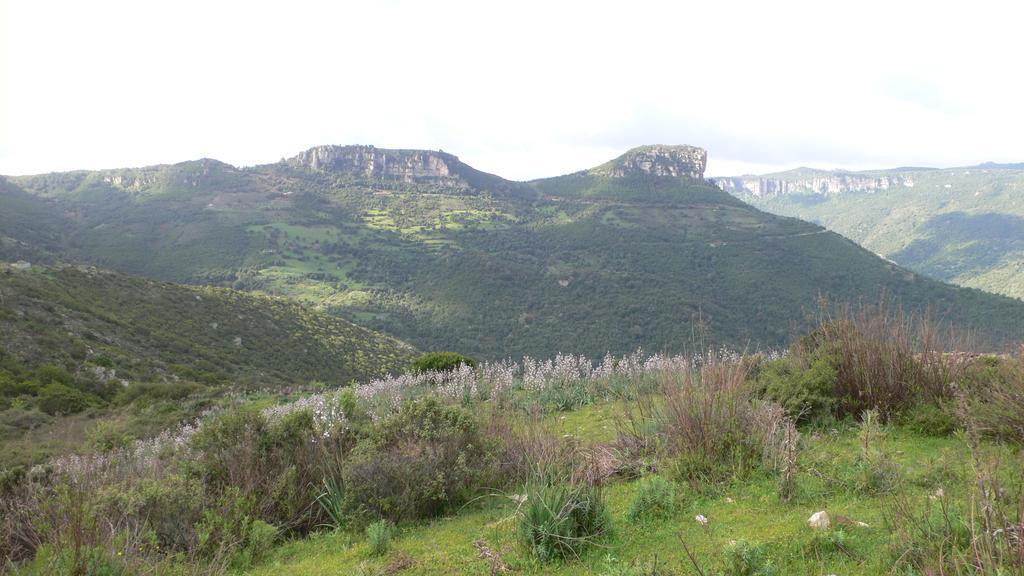 Agriturismo Ticci Seùlo Exteriér fotografie