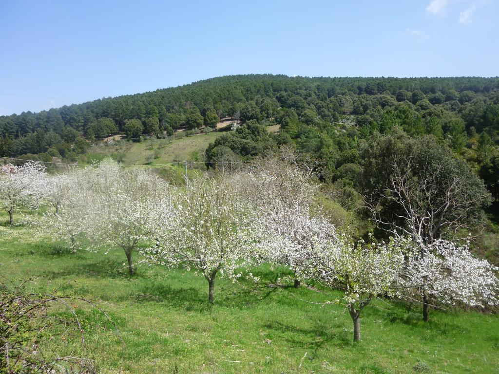 Agriturismo Ticci Seùlo Exteriér fotografie