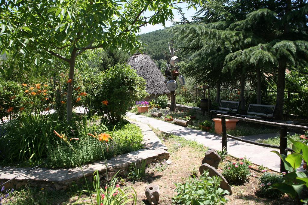 Agriturismo Ticci Seùlo Exteriér fotografie
