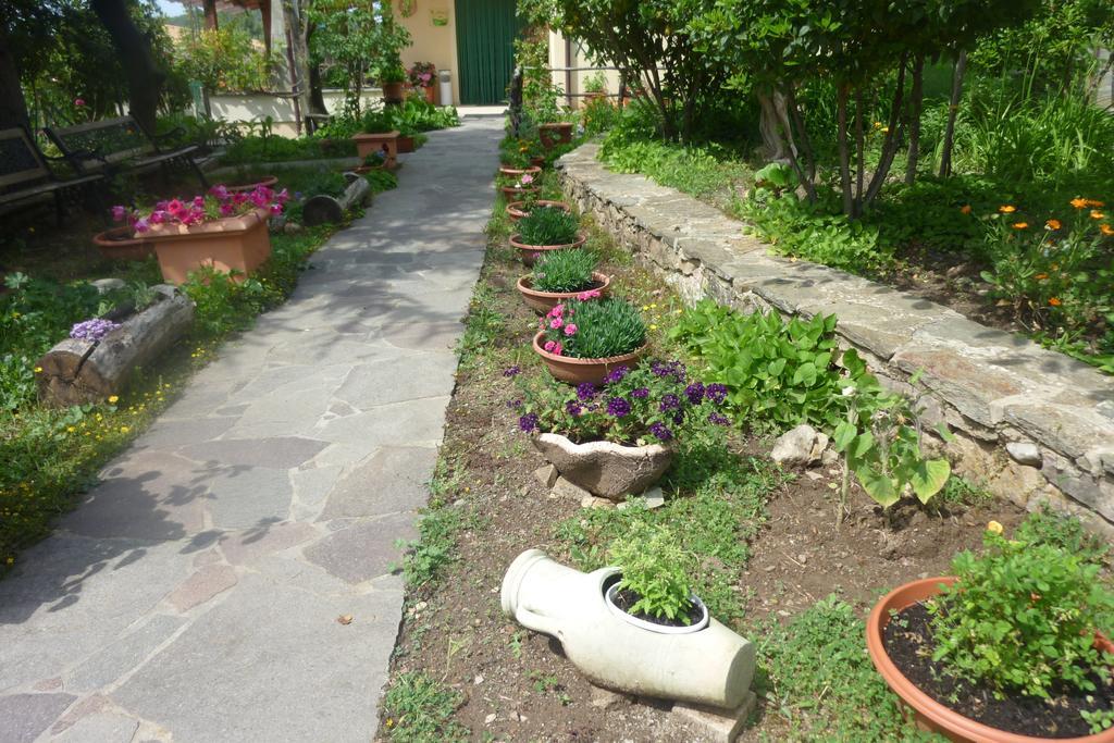 Agriturismo Ticci Seùlo Exteriér fotografie